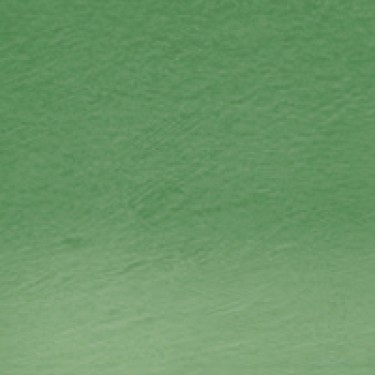 PROCOLOUR SPRUCE GREEN 